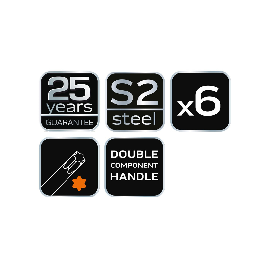 Torx veržliarakčiai 6 vnt 6 Torx veržliarakčiai 6 vnt 6