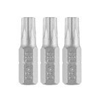 „Torx“ bitai T30 x 25 mm, 3 vnt