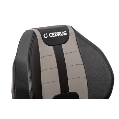 Benzininis vejos traktoriukas Cedrus Premium C-TRAC-T108HS, 12,5 kW 22