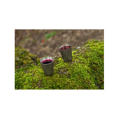 Turistiniai akiniai 6 vnt., dėklas 1