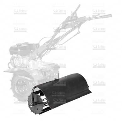 Volas Cedrus CEDRGL38 2 Volas Cedrus CEDRGL38 2