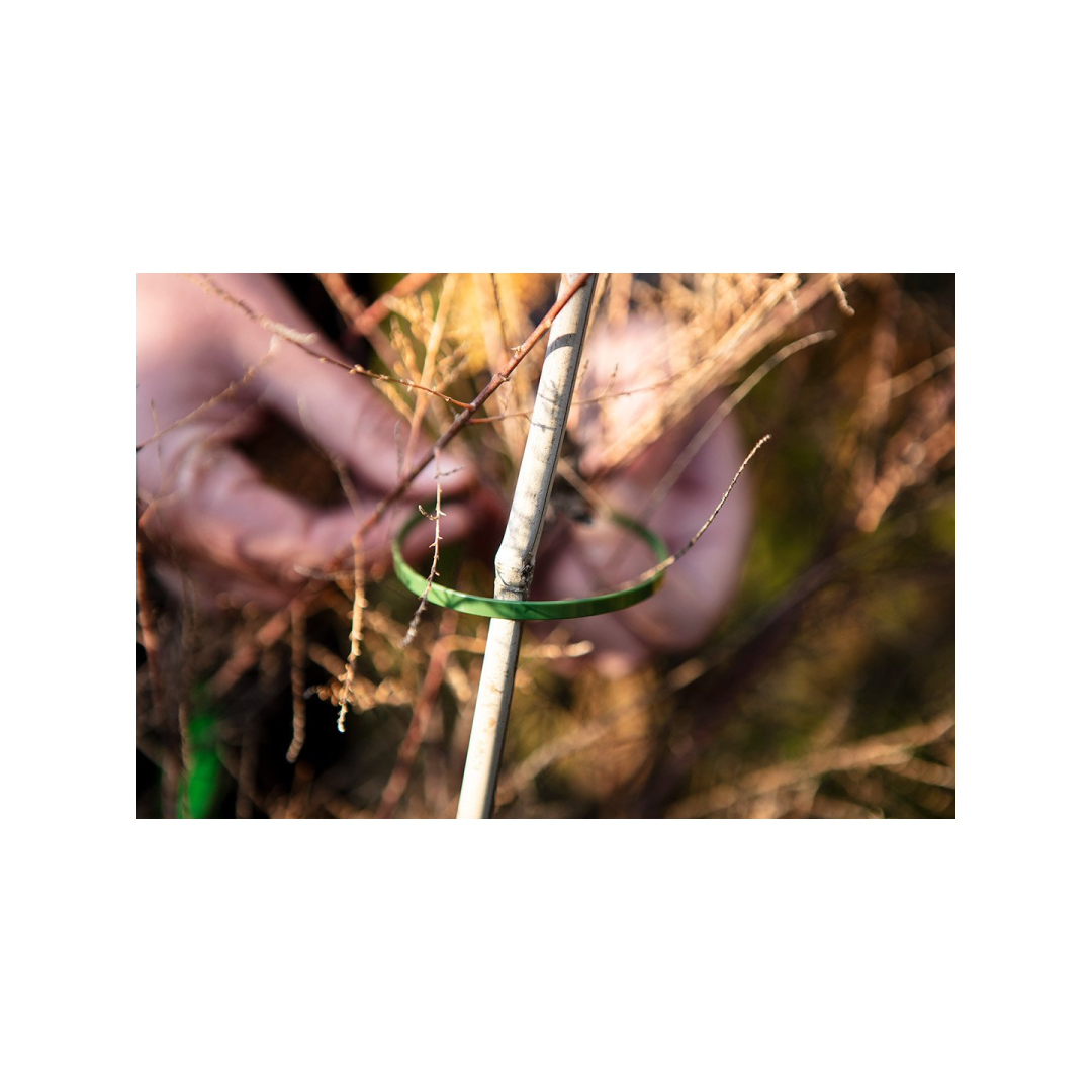 Užveržimo dirželiai 4,8 x 300 mm, 50 vnt, žalia 1 Užveržimo dirželiai 4,8 x 300 mm, 50 vnt, žalia 1