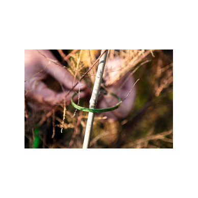 Užveržimo dirželiai 4,8 x 300 mm, 50 vnt, žalia 1 Užveržimo dirželiai 4,8 x 300 mm, 50 vnt, žalia 1