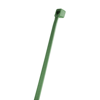 Užveržimo dirželiai 4,8 x 300 mm, 50 vnt, žalia 3