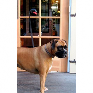 Vakuuminis kėliklis su S formos kabliu Essen tools, 125 x 50 mm, 2 vnt 2 Vakuuminis kėliklis su S formos kabliu Essen tools, 125 x 50 mm, 2 vnt 2