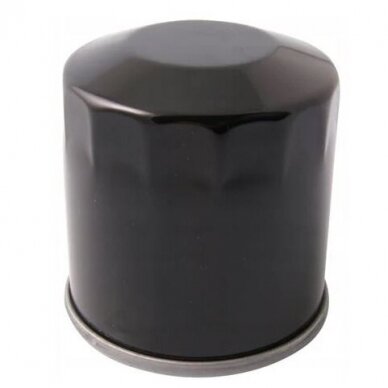 Variklio alyvos filtras AL-KO Pro 700, Loncin t-22 (418138) 1 Variklio alyvos filtras AL-KO Pro 700, Loncin t-22 (418138) 1