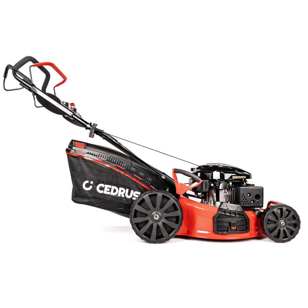 Benzininė vejapjovė Cedrus CEDKS53S-L, 3,5 kW, 53 cm 3 Benzininė vejapjovė Cedrus CEDKS53S-L, 3,5 kW, 53 cm 3