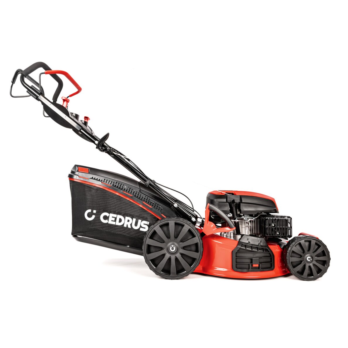 Benzininė vejapjovė Cedrus CEDKS56S, 4,2 kW 3