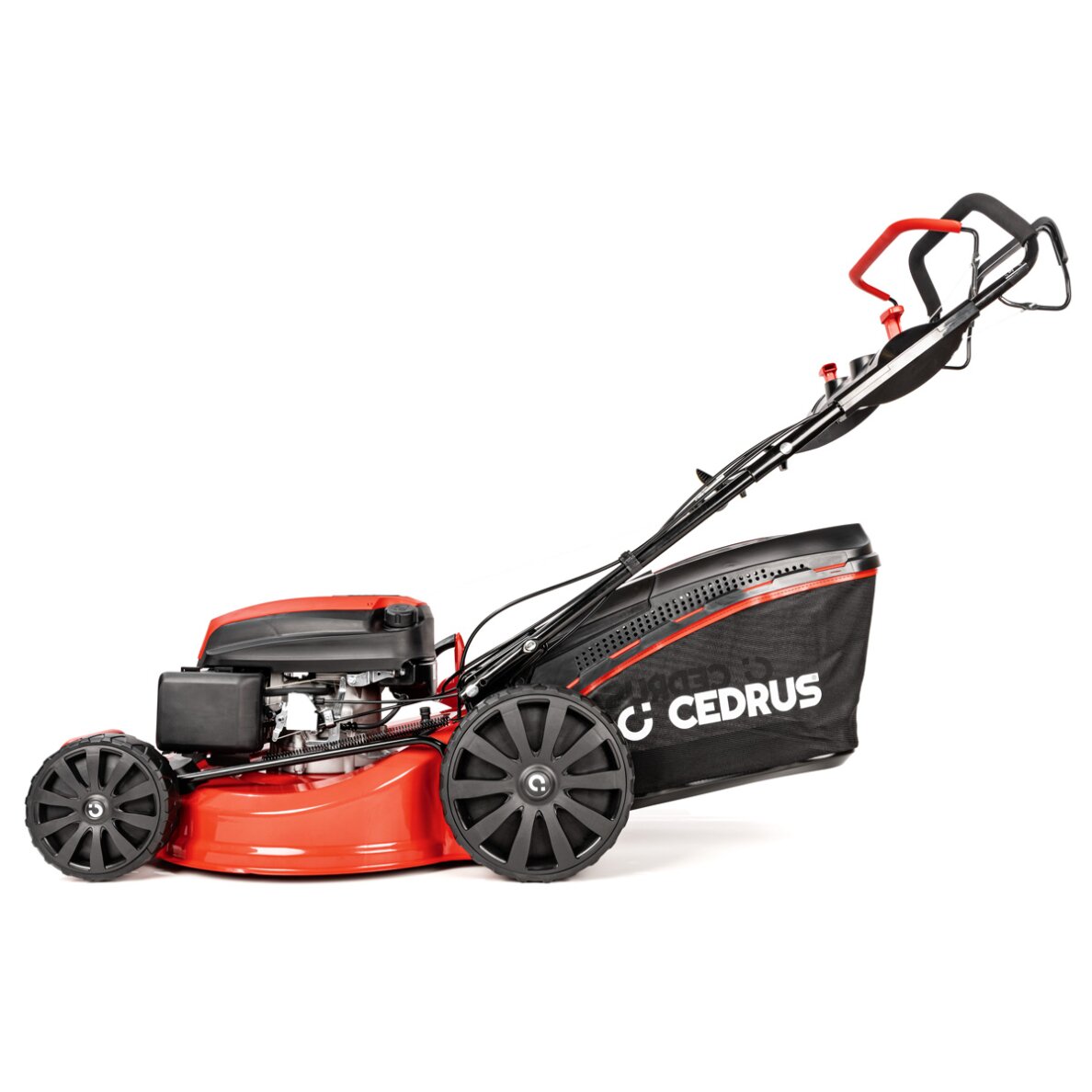 Benzininė vejapjovė Cedrus CEDKS56S, 4,2 kW 9