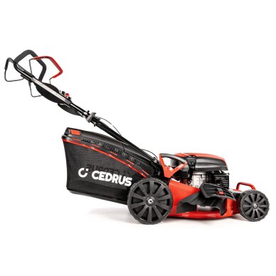 Benzininė vejapjovė Cedrus CEDKS48S, 2,6 kW, 48 cm 3 Benzininė vejapjovė Cedrus CEDKS48S, 2,6 kW, 48 cm 3
