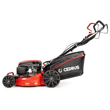 Benzininė vejapjovė Cedrus CEDKS48S, 2,6 kW, 48 cm 9 Benzininė vejapjovė Cedrus CEDKS48S, 2,6 kW, 48 cm 9
