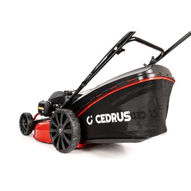 Benzininė vejapjovė Cedrus CEDKS51S-H, 51 cm, 3,9 kW 8