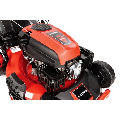 Benzininė vejapjovė Cedrus CEDKS56S, 4,2 kW 16