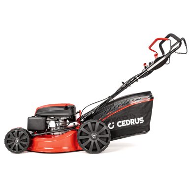 Benzininė vejapjovė Cedrus CEDKS56S, 4,2 kW 9