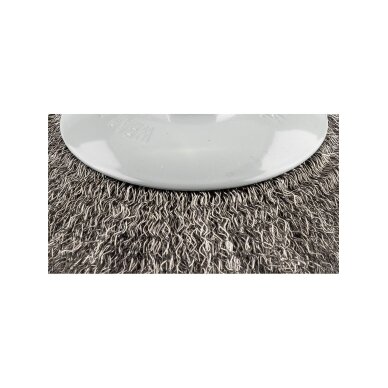 Vielinis diskinis šepetys 125 mm, suvirškintos vielos, plieno, M14 6