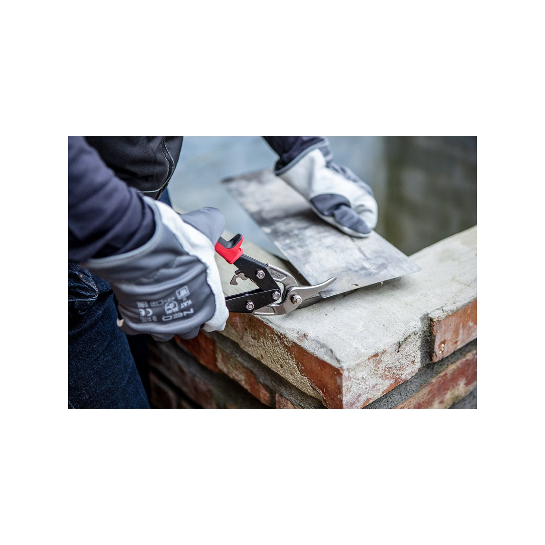 Žirklės skardai, 250mm, kairinės 2