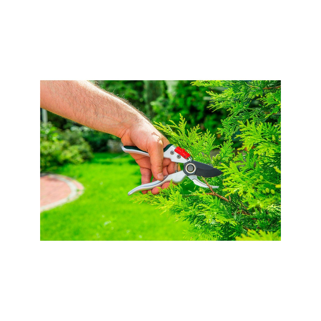 Žirklės sodininko, kirpimo diametras 18 mm 1