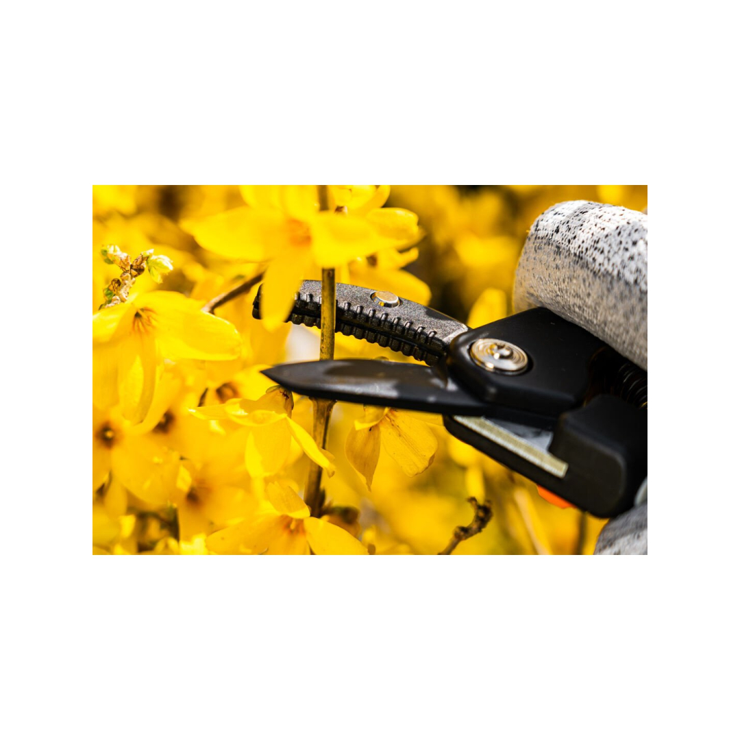 Žirklės su antkakliu 185 mm, diapazonas iki 15 mm, reguliuojami tarpa 6 Žirklės su antkakliu 185 mm, diapazonas iki 15 mm, reguliuojami tarpa 6