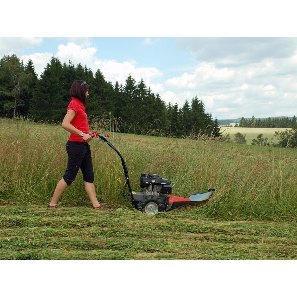 ŽOLIAPJOVĖ BŪGNINĖ AGATHA DS-521Z XP-200 1